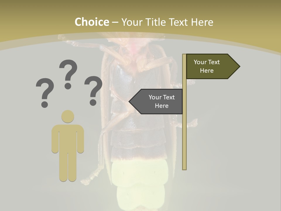 A Bug With A Light Shining On It's Back PowerPoint Template