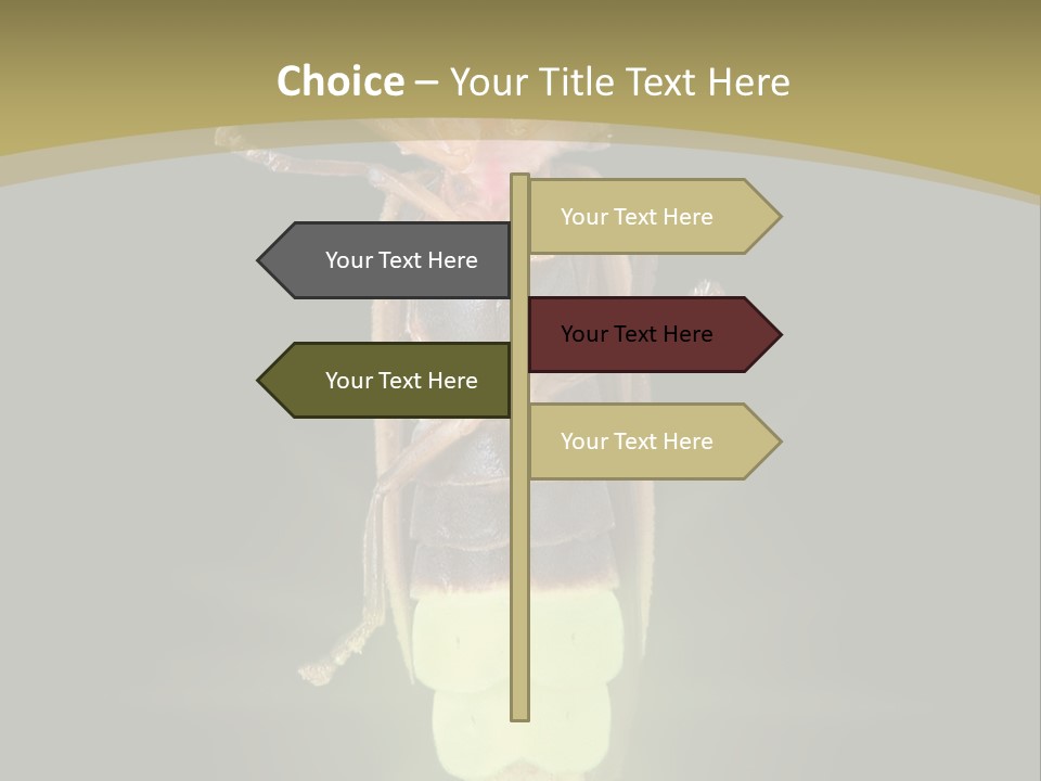 A Bug With A Light Shining On It's Back PowerPoint Template