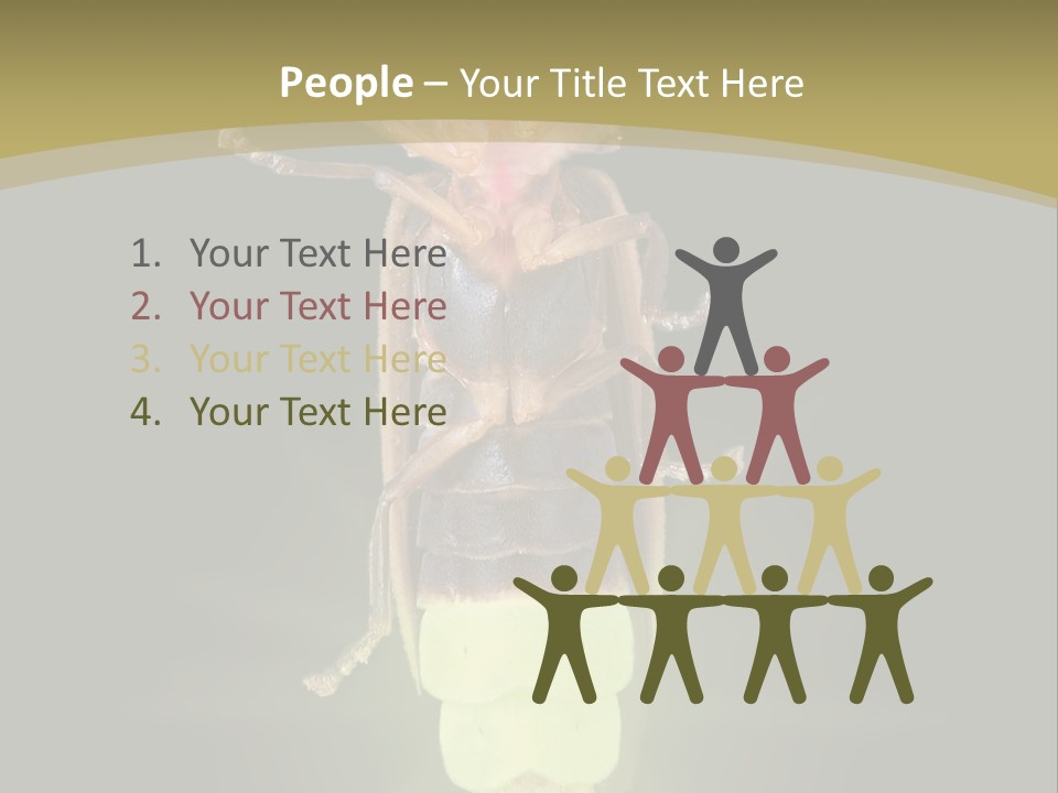 A Bug With A Light Shining On It's Back PowerPoint Template