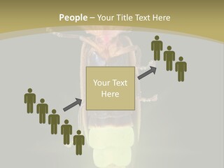 A Bug With A Light Shining On It's Back PowerPoint Template