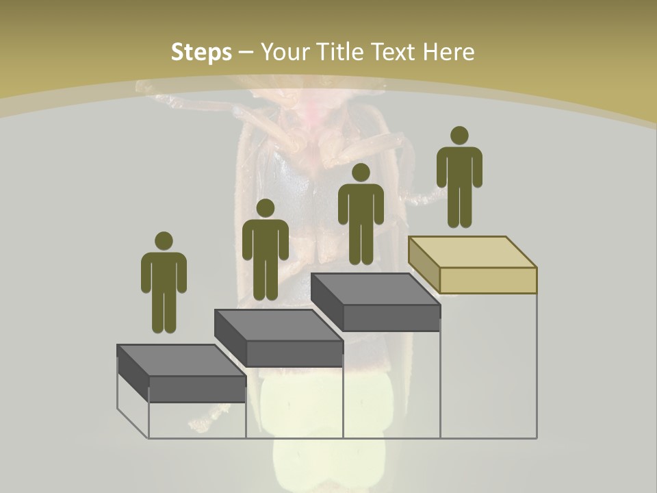 A Bug With A Light Shining On It's Back PowerPoint Template