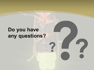 A Bug With A Light Shining On It's Back PowerPoint Template