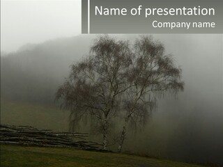 A Picture Of A Tree In The Fog PowerPoint Template