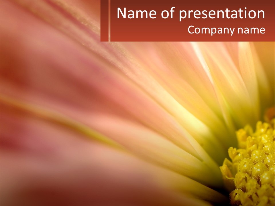 A Close Up Of A Flower With A Red Background PowerPoint Template