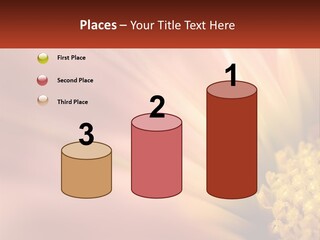 A Close Up Of A Flower With A Red Background PowerPoint Template