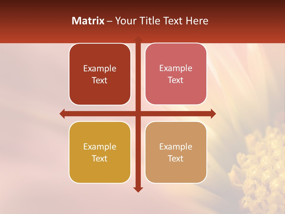 A Close Up Of A Flower With A Red Background PowerPoint Template