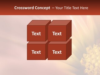 A Close Up Of A Flower With A Red Background PowerPoint Template