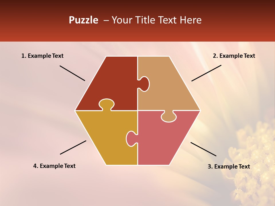 A Close Up Of A Flower With A Red Background PowerPoint Template