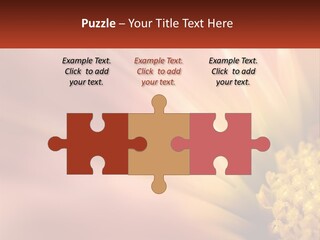 A Close Up Of A Flower With A Red Background PowerPoint Template