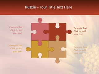 A Close Up Of A Flower With A Red Background PowerPoint Template