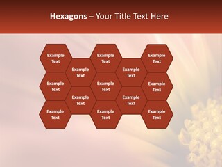 A Close Up Of A Flower With A Red Background PowerPoint Template