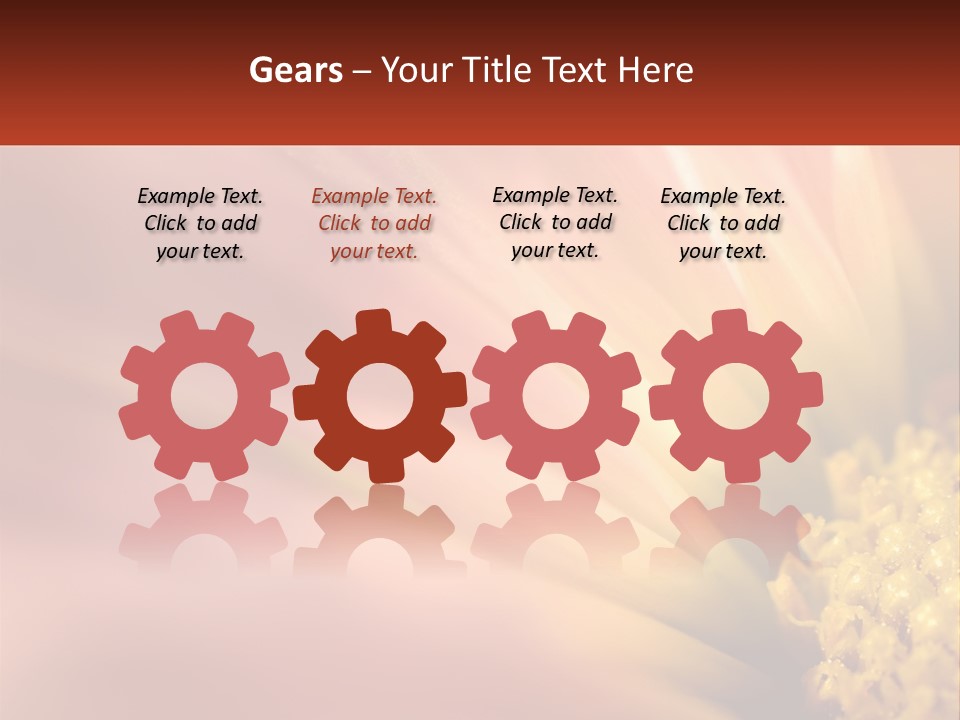 A Close Up Of A Flower With A Red Background PowerPoint Template