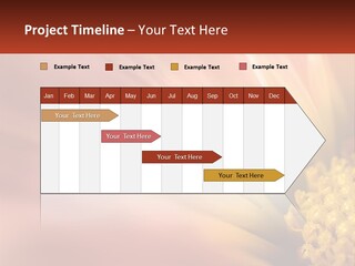 A Close Up Of A Flower With A Red Background PowerPoint Template