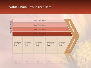 A Close Up Of A Flower With A Red Background PowerPoint Template