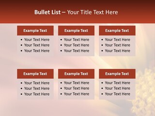 A Close Up Of A Flower With A Red Background PowerPoint Template