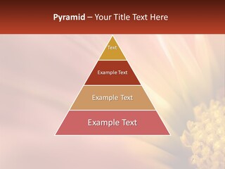 A Close Up Of A Flower With A Red Background PowerPoint Template