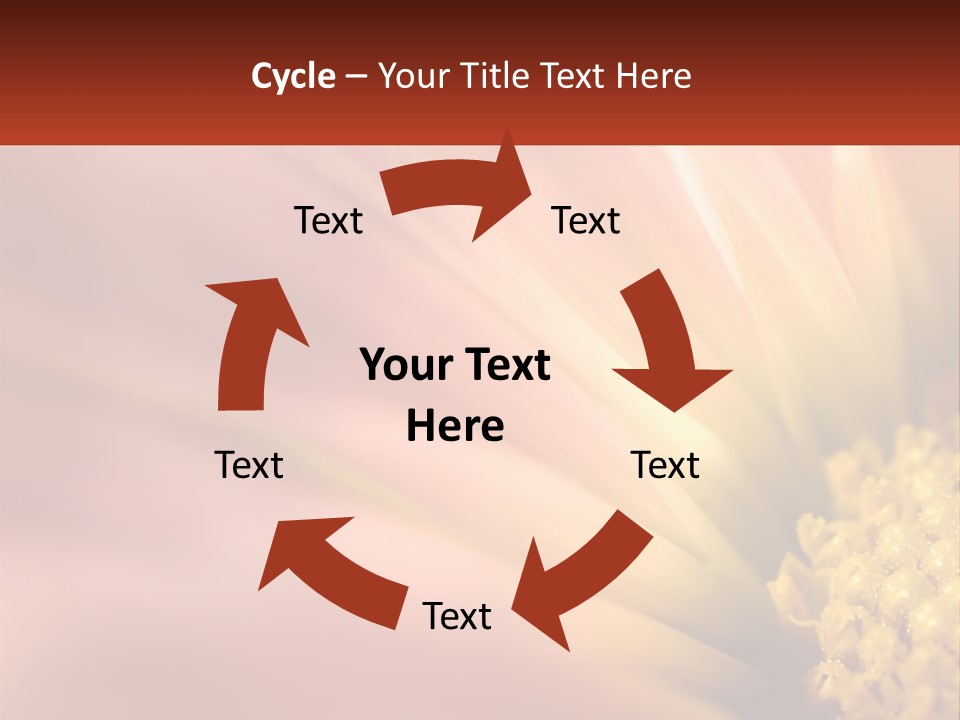 A Close Up Of A Flower With A Red Background PowerPoint Template