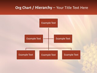 A Close Up Of A Flower With A Red Background PowerPoint Template