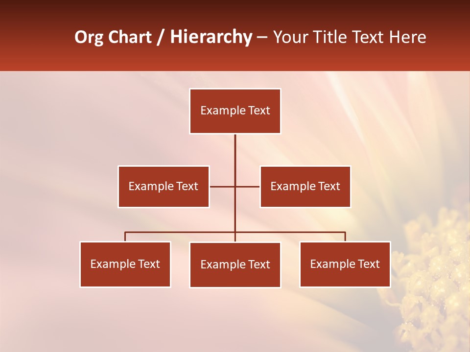 A Close Up Of A Flower With A Red Background PowerPoint Template