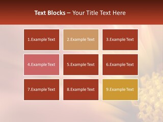 A Close Up Of A Flower With A Red Background PowerPoint Template