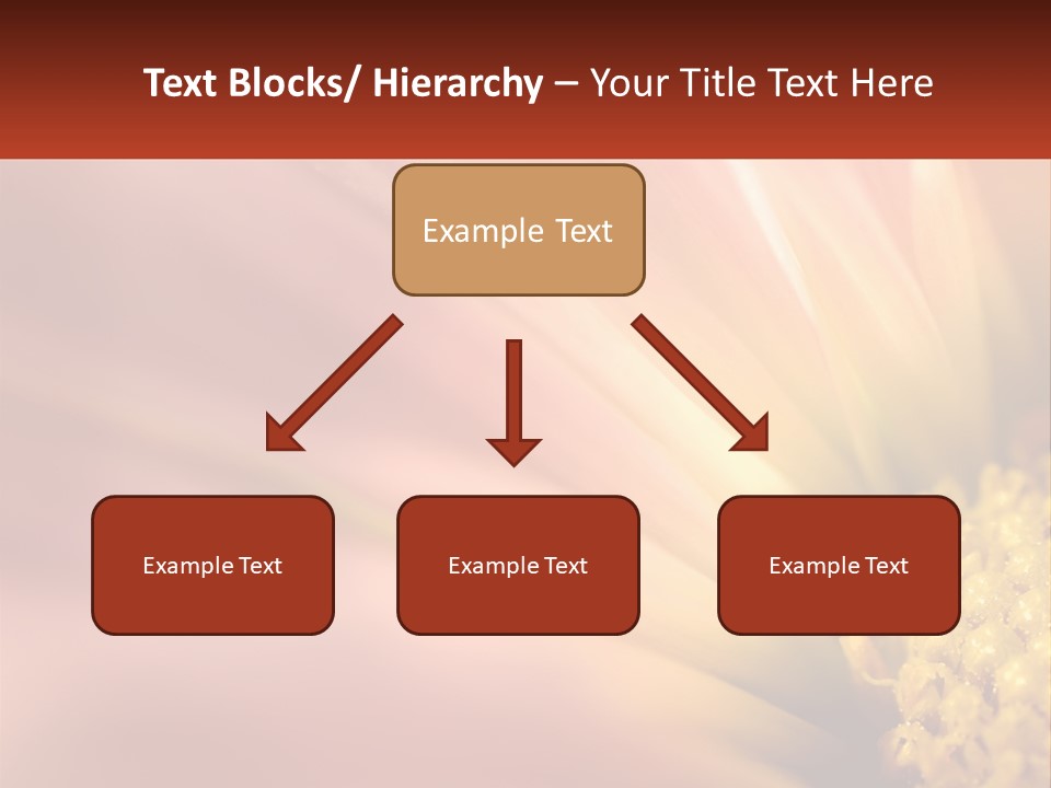 A Close Up Of A Flower With A Red Background PowerPoint Template