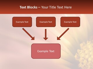 A Close Up Of A Flower With A Red Background PowerPoint Template