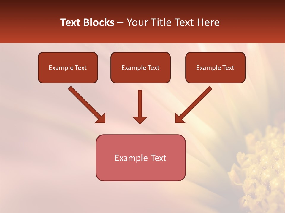 A Close Up Of A Flower With A Red Background PowerPoint Template