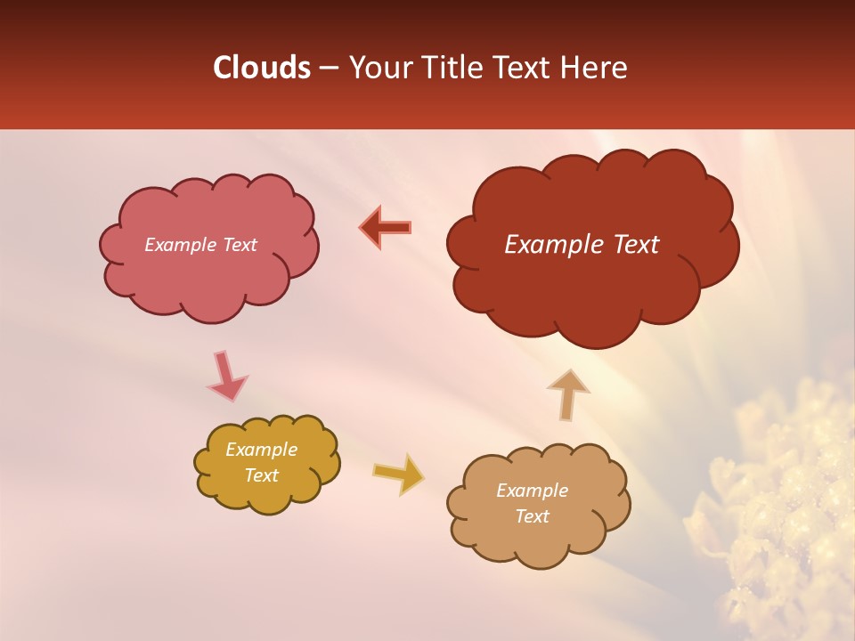 A Close Up Of A Flower With A Red Background PowerPoint Template