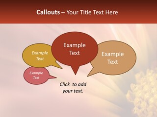 A Close Up Of A Flower With A Red Background PowerPoint Template