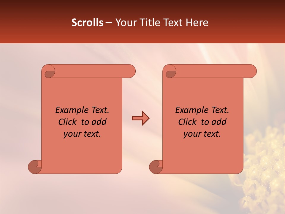 A Close Up Of A Flower With A Red Background PowerPoint Template