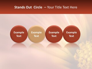 A Close Up Of A Flower With A Red Background PowerPoint Template