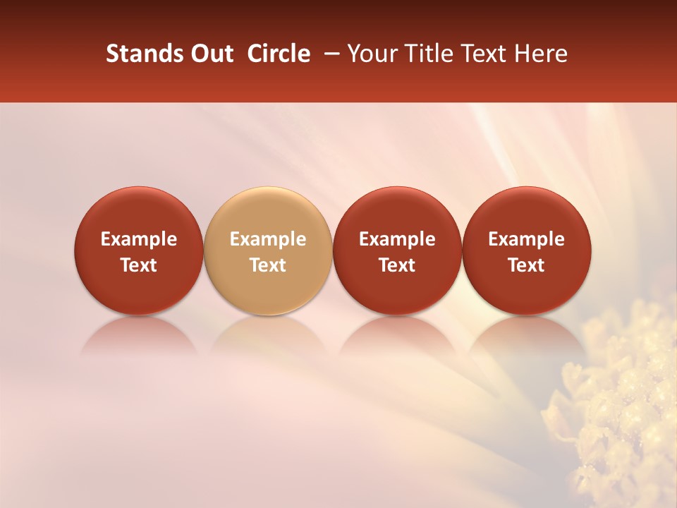 A Close Up Of A Flower With A Red Background PowerPoint Template
