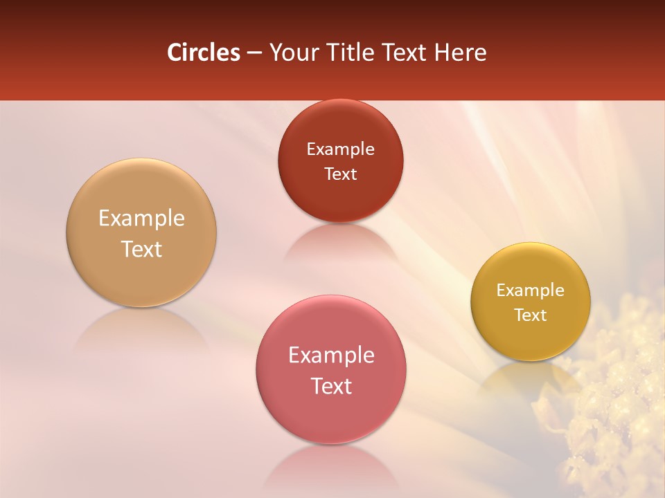 A Close Up Of A Flower With A Red Background PowerPoint Template