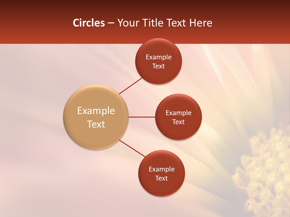 A Close Up Of A Flower With A Red Background PowerPoint Template