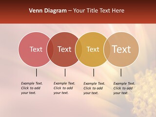 A Close Up Of A Flower With A Red Background PowerPoint Template