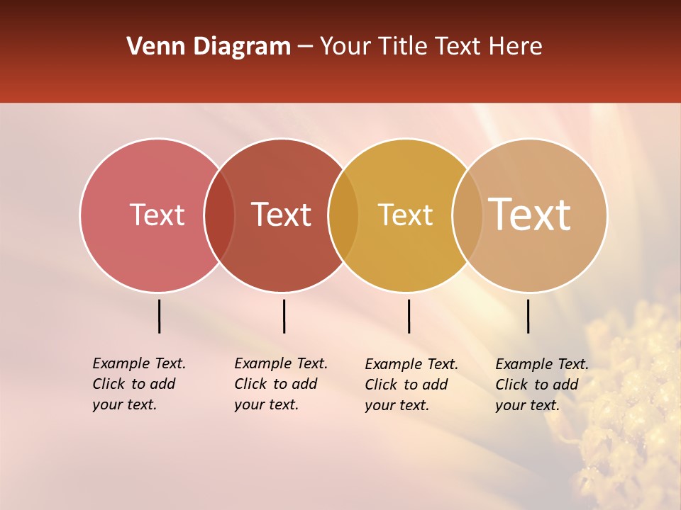 A Close Up Of A Flower With A Red Background PowerPoint Template