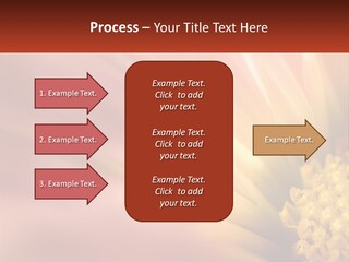 A Close Up Of A Flower With A Red Background PowerPoint Template
