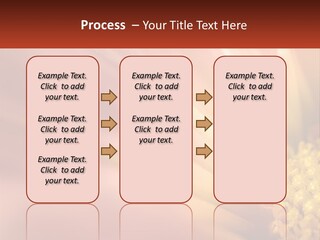 A Close Up Of A Flower With A Red Background PowerPoint Template