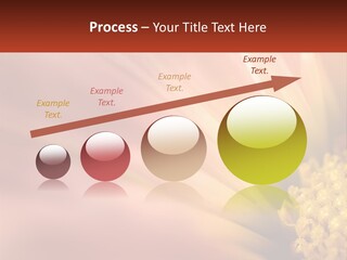 A Close Up Of A Flower With A Red Background PowerPoint Template