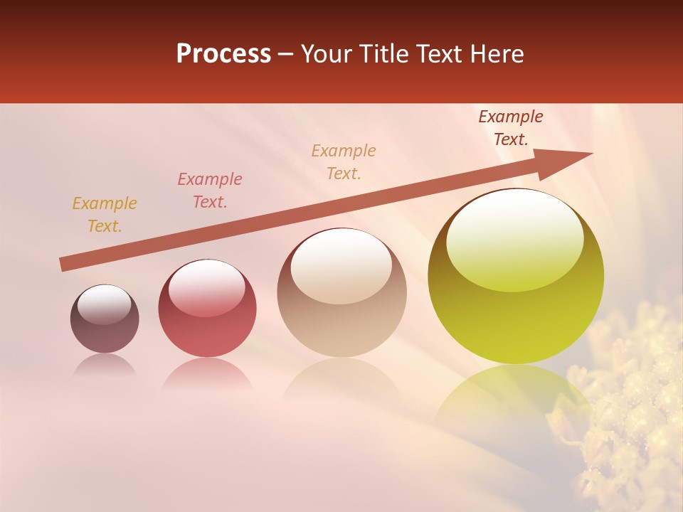 A Close Up Of A Flower With A Red Background PowerPoint Template