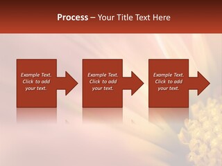 A Close Up Of A Flower With A Red Background PowerPoint Template