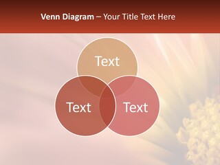 A Close Up Of A Flower With A Red Background PowerPoint Template