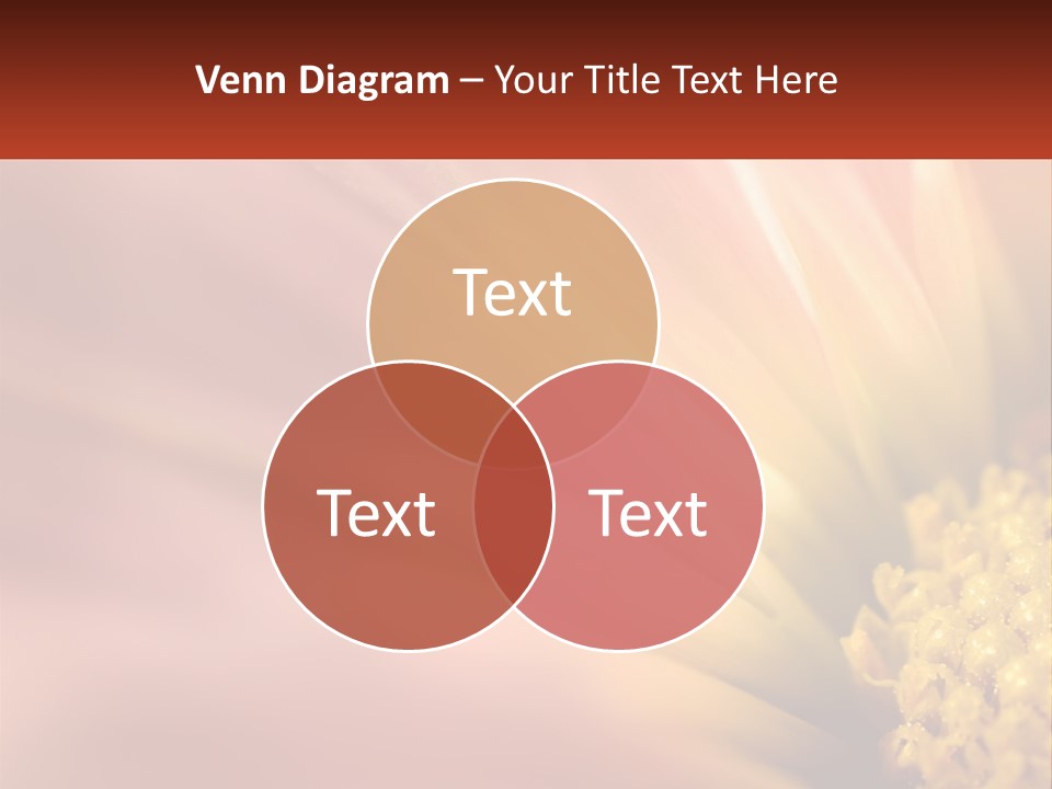 A Close Up Of A Flower With A Red Background PowerPoint Template