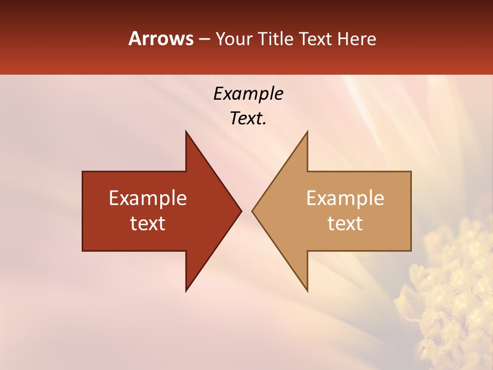 A Close Up Of A Flower With A Red Background PowerPoint Template