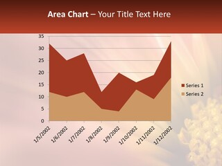 A Close Up Of A Flower With A Red Background PowerPoint Template