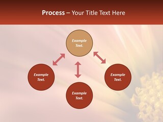 A Close Up Of A Flower With A Red Background PowerPoint Template