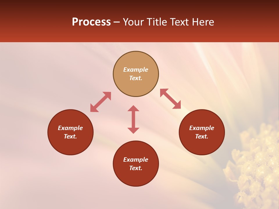 A Close Up Of A Flower With A Red Background PowerPoint Template