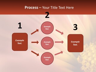 A Close Up Of A Flower With A Red Background PowerPoint Template