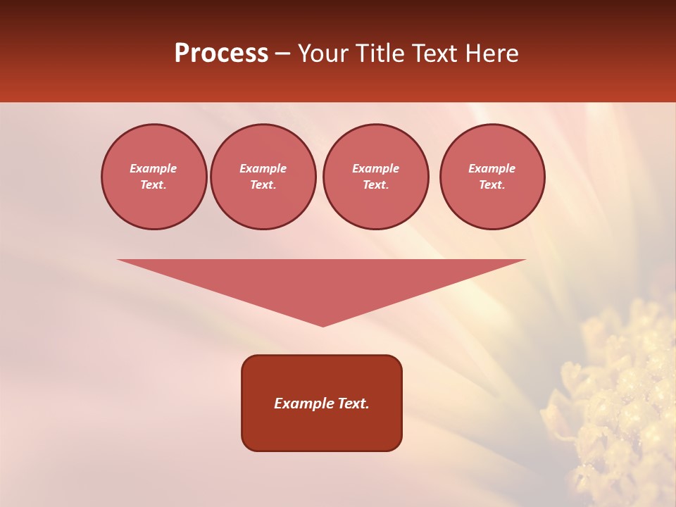A Close Up Of A Flower With A Red Background PowerPoint Template