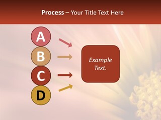 A Close Up Of A Flower With A Red Background PowerPoint Template